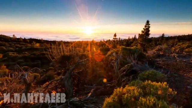 ПАМЯТЬ - Игорь Пантелеев и Илай Илимар трогательные, душевные песни под гитару