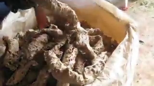 экструдированный корм