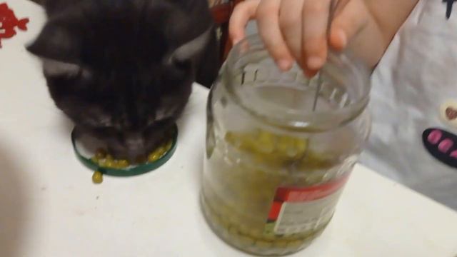 Поздравляю всех с наступающим Новым Годом! Желаю всем мира , здоровья и счастья!