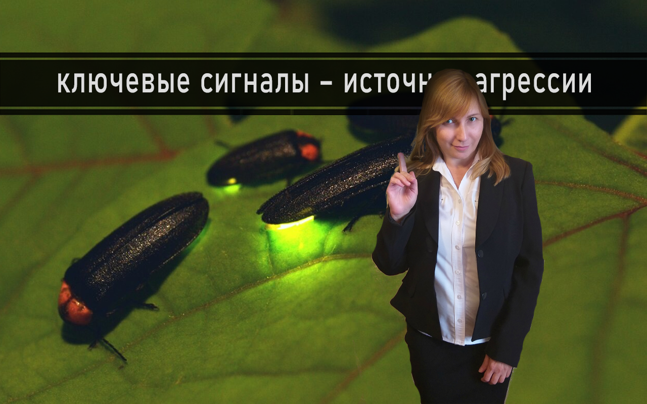 ИМПУЛЬСИВНАЯ АГРЕССИЯ - ПРОБЛЕМА КАЖДОГО ИЗ НАС