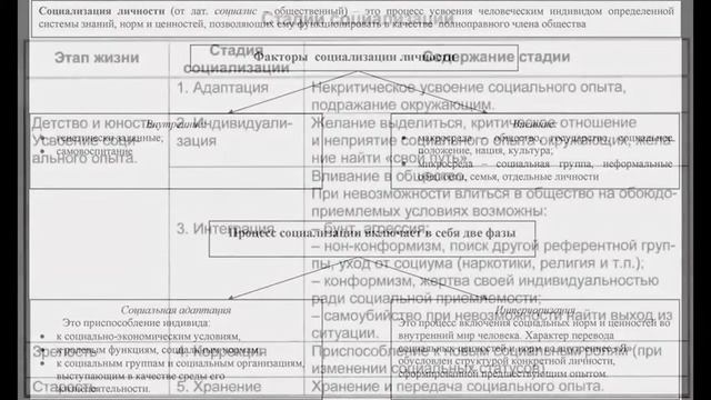 Процесс социализации