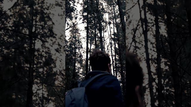 Нилини - Ты меня не забывай [Snippet] #нилини #ТыМеняНеЗабывай #тмнз