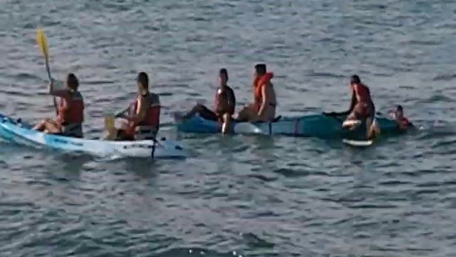KAYAK Collision Off Kailua's  Bird Island, New Year's Eve, 2010