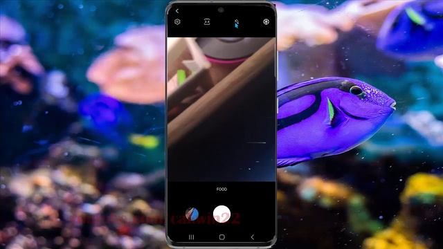 Samsung Galaxy S20 : How to set camera as food mode (Android 11)