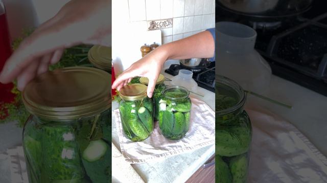 Хрустящие огурцы на зиму