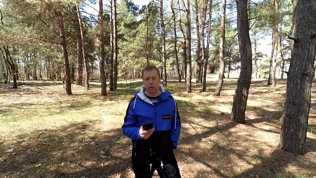 Грецкий Орех. Лекарство от Всех Болезней. Польза и Вред. На сколько важен при похудении.