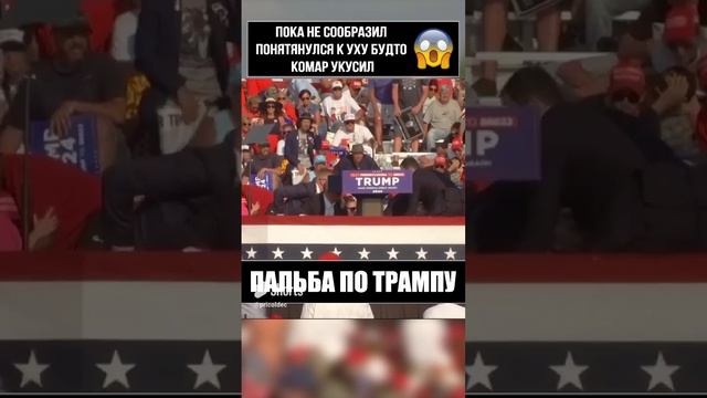 пока не понял - думал комар укусил #трамп #прикол