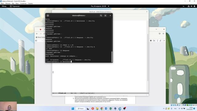 Лабораторная работа 12