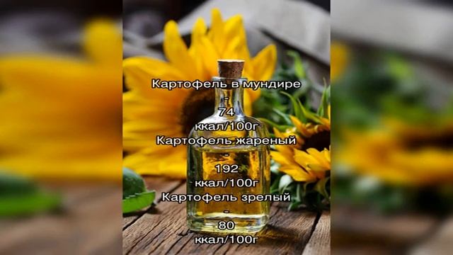 Картошка капуста морковь лук рагу