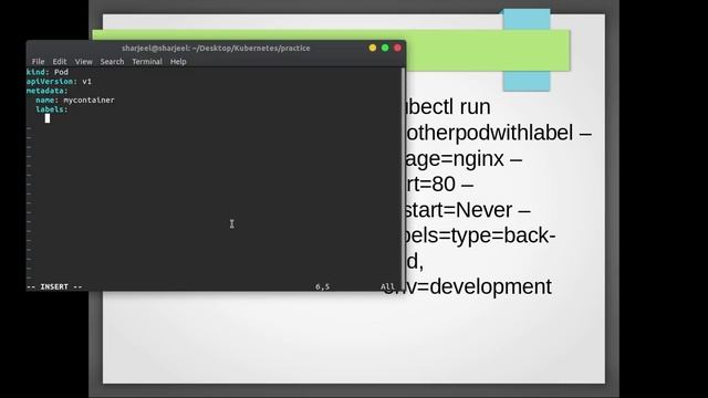 8 Kubernetes in action Labeling in Urdu/Hindi