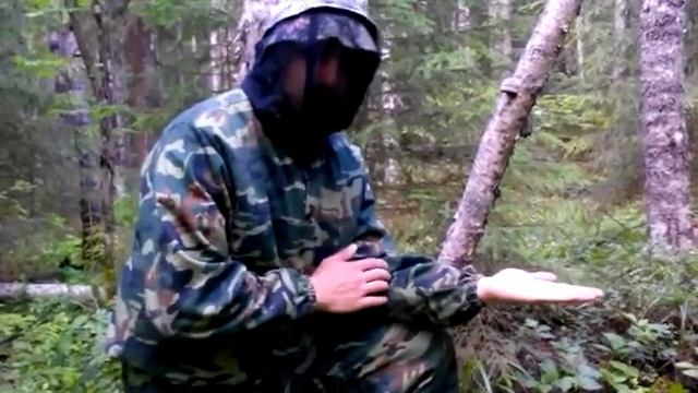 Школа Чака Нориса