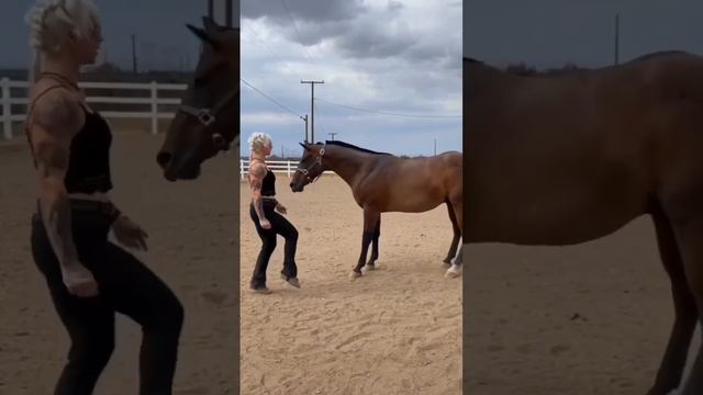 лошадь танцует с тренером #лошадь #юмор #танец
