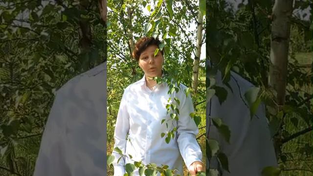 Толстопятая Надежда, 14 лет, Н.М. Рубцов "Берёзы"
