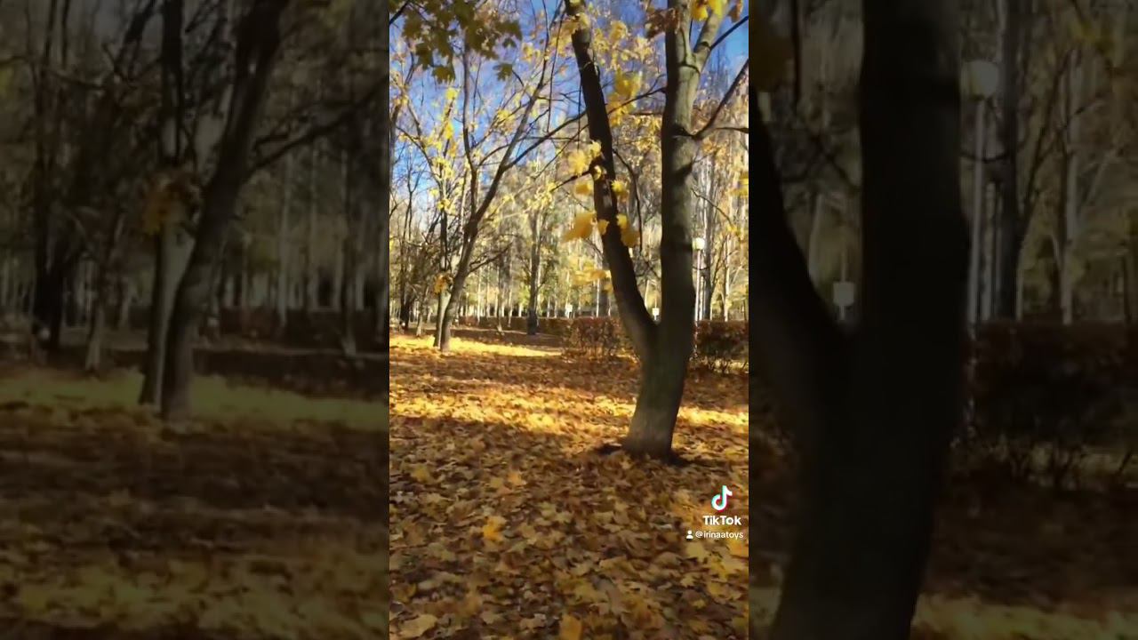 Осень в городе ❤️