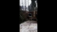 Ландшафтный дизайн. Посадка крупномеров. Ель 10м