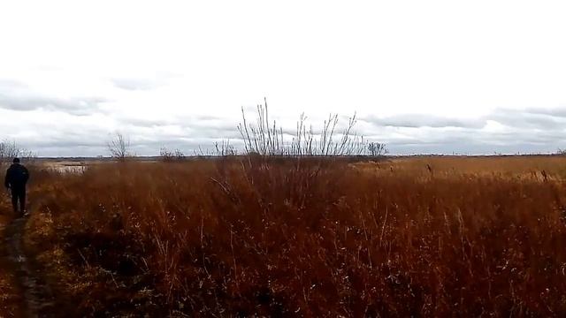 Рыбалка Присягино, Барнаул