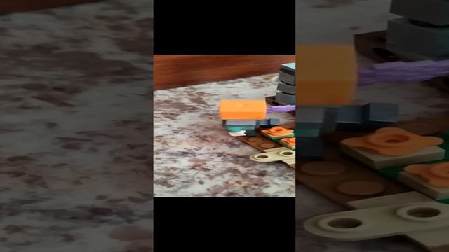 VID_20240829_093620.mp4