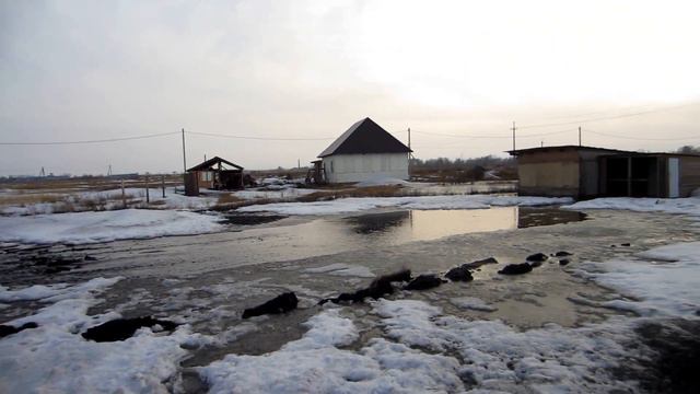 Камень-на-Оби,Карьерная 53,Затопляет 27.03.16 год.
