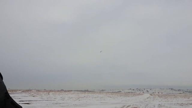 23.02.14 Солонцы