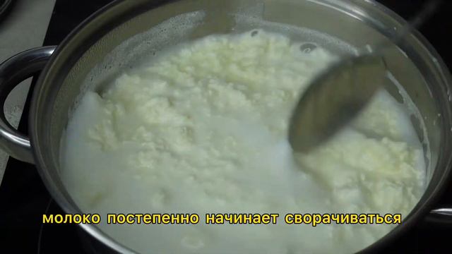 Адыгейский сыр из трёх ингредиентов
