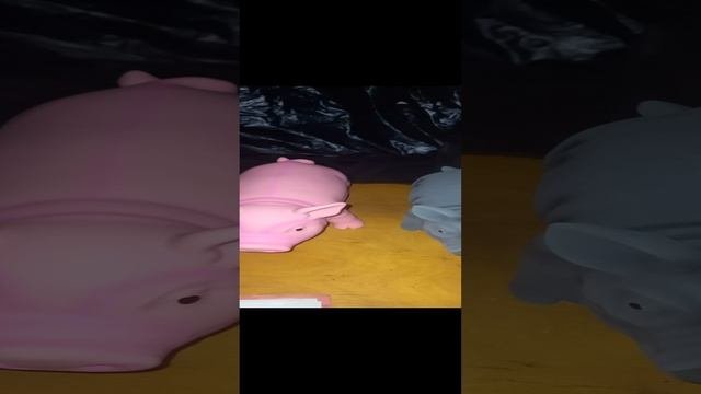 VID_20231204_202502.mp4