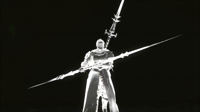 Dark Souls 2 Stone Twinblade Tutorial (dual wielding w/ power stance)