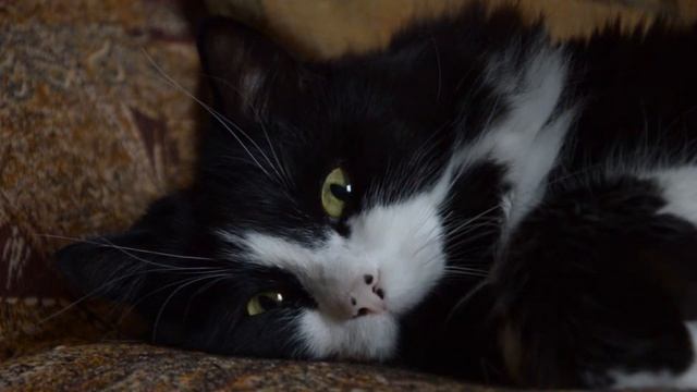 Nikon D3200 Test Video HD 1080