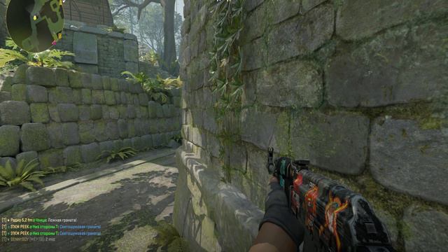 Counter-strike 2 2024.08.16 - 01.02.51.03.DVR