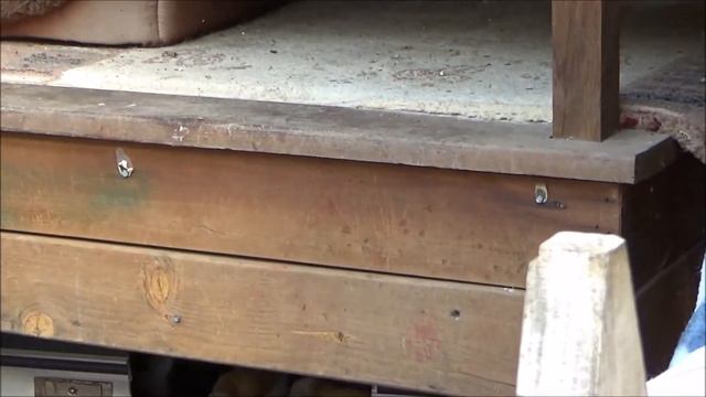 Турецкие коты / Turkish cats