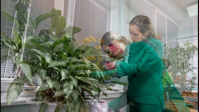 Применение удобрения Семицветик А для комнатных и садовых цветов