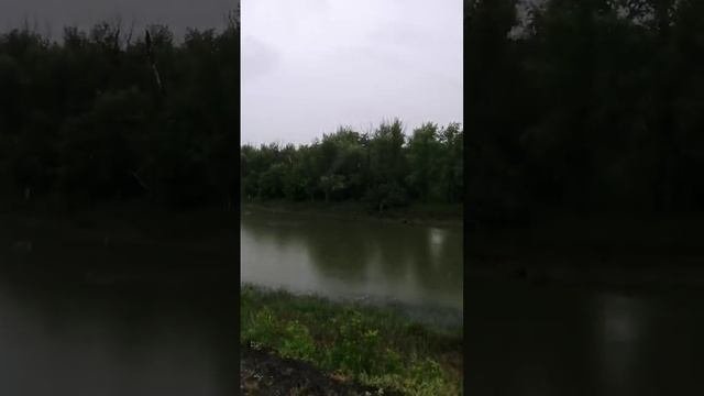 VID_20220606_100803_038.mp4