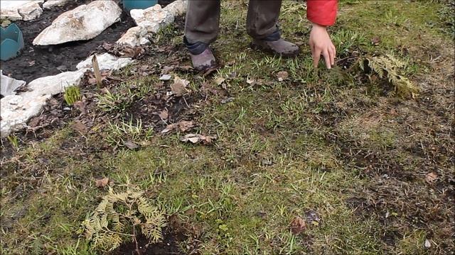 Начала строить теплицу и делаю другие работы//Наталья Харитонова