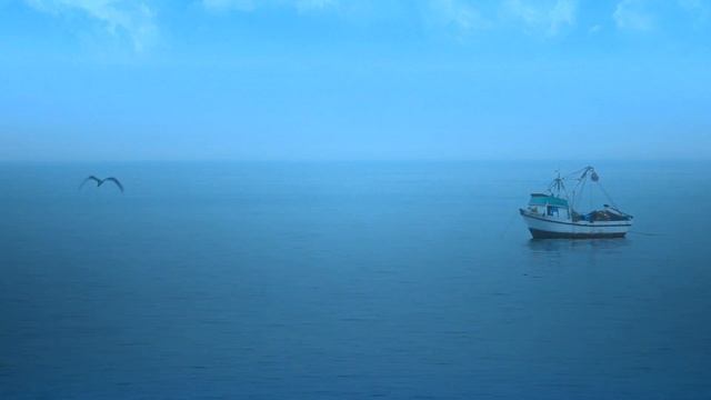 Фестиваль морепродуктов