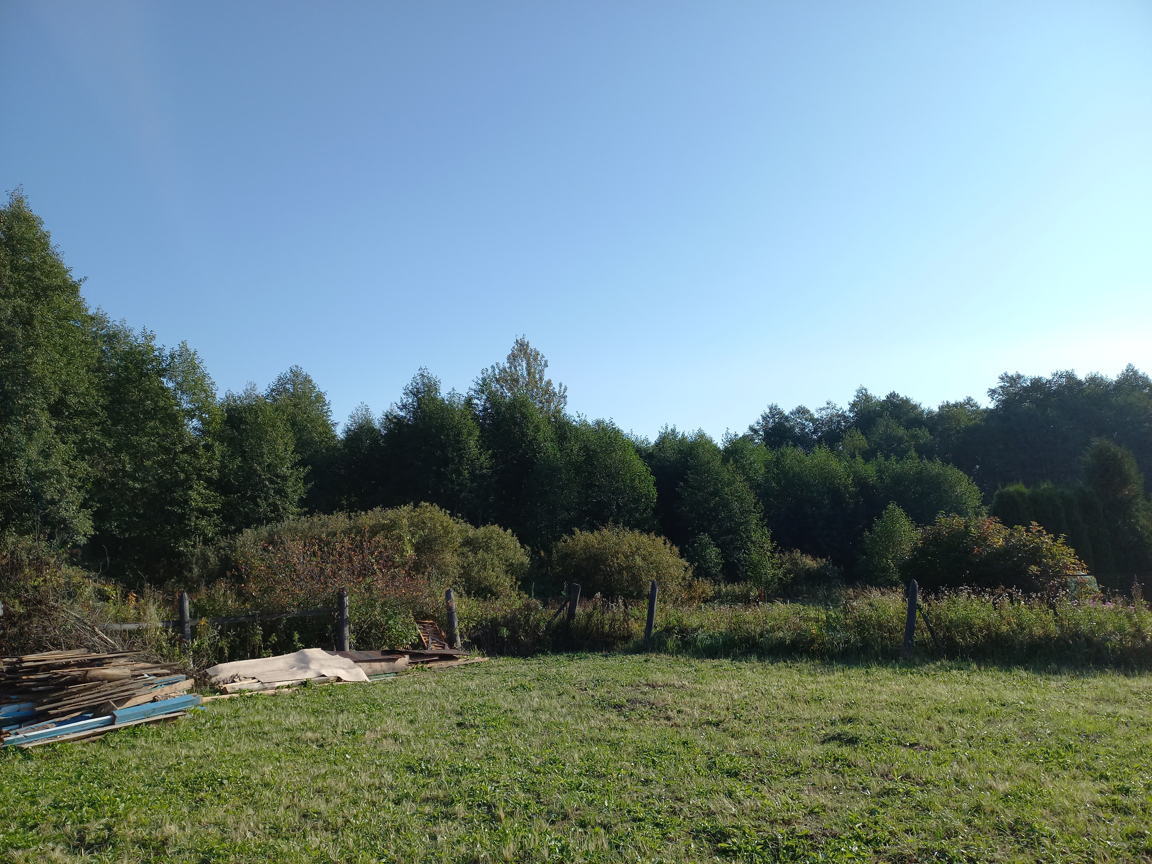 уборка заднего двора.