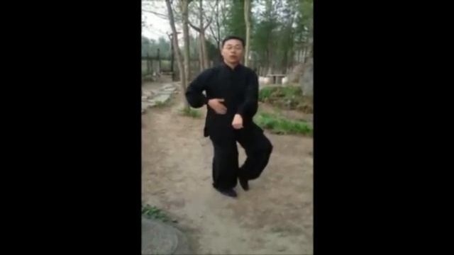 Ван Лин_42 форма Тайцзицуань.часть1.mp4