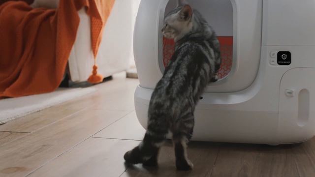 Автоматический лоток PETKIT Pura Max
