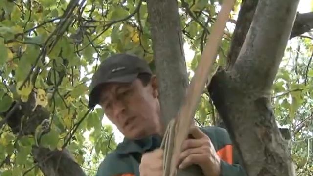 Долгопрудный: Яблоневый сад прошлое настоящее и будущее в Долгопрудном