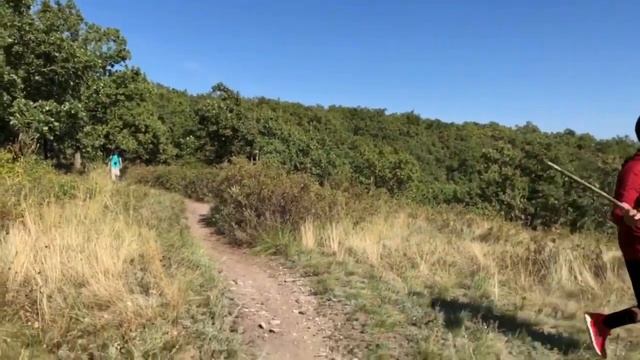 2019.8.13. 3.  Саратовский лес_Восьмая Дачная.  Только видео.  15мин.  1.6Гб