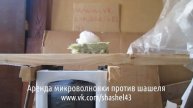 шашель в доме Киров