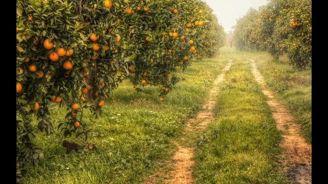 Внутренняя алхимия 02  Природа страданий
