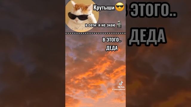вот это чатик...??