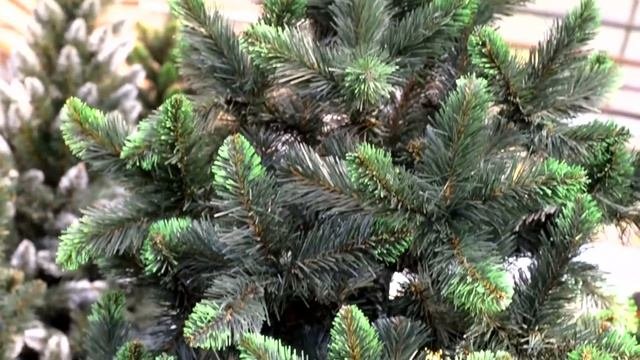 Искусственная елка со ярко зелеными кончиками
