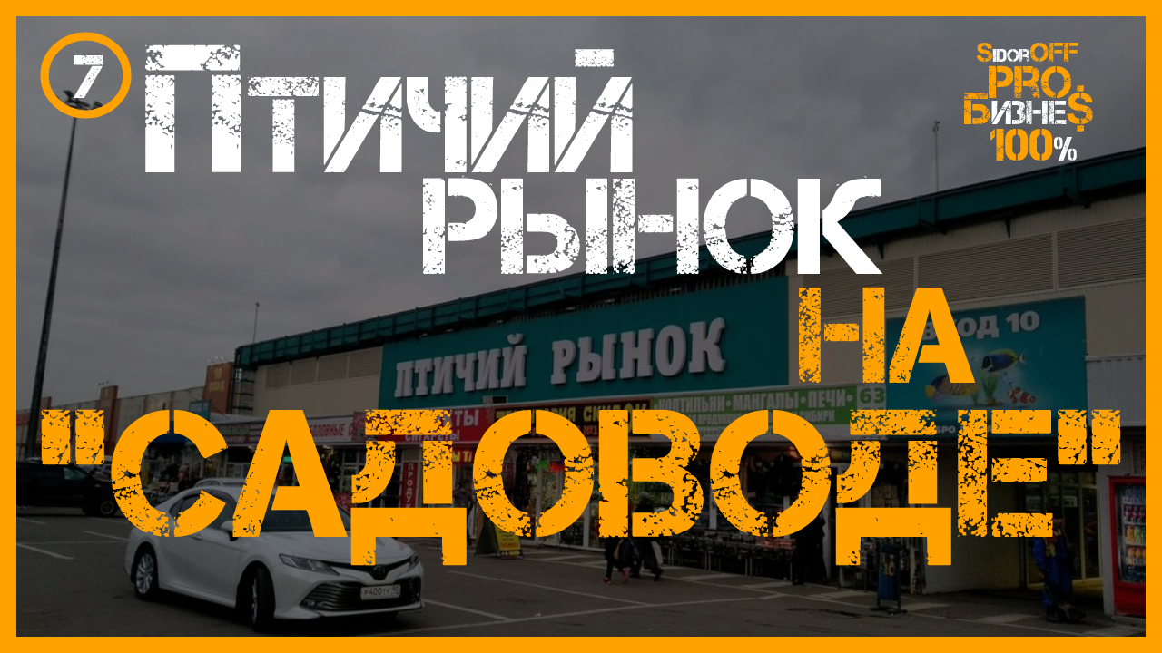 Птичий рынок на САДОВОДЕ! Бесплатный зоопарк на оптовом рынке. Товары для животных.