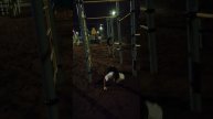 Задание от Зеленой Свечи - комплексное упражнение на турнике 2. Не выполнено