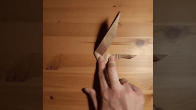 Origami Hippocampus Roman Diaz timelapse