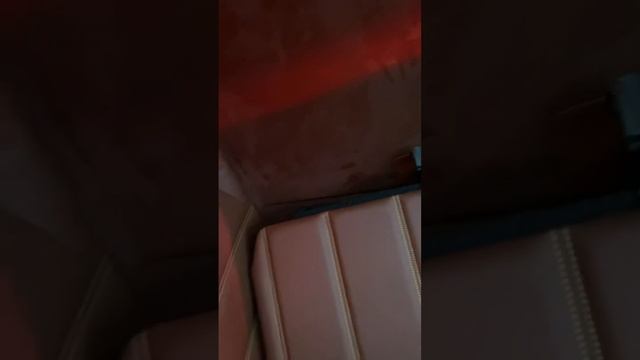 Перетяжка Volvo FH 2022. Перешили все стены, полностью двери в экокожу и добавили много подсветки))