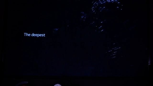 Экран для проектора