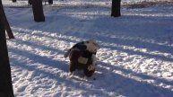 Мартик с Радой
