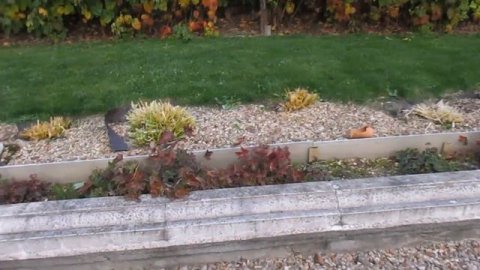 ОСЕНЬ.ОКТЯБРЬ.ДАЧА.Готовимся к зиме ч 1.Чистим.Копаем.Обрезаем.Окучиваем....