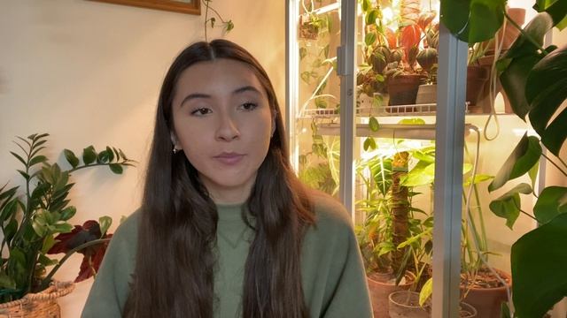 Watermelon Dischidia  Full Care Guide